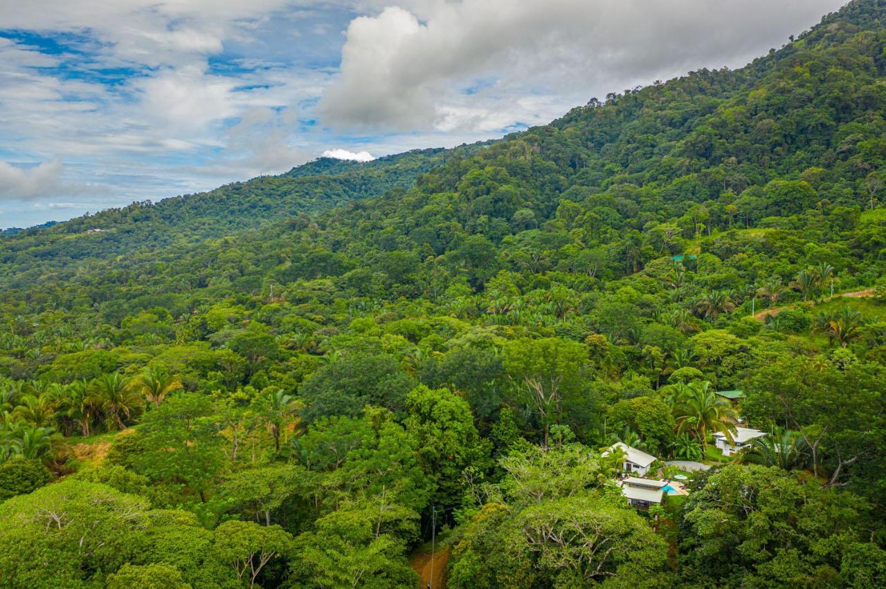 The Sutton - Boutique Jungle Experience Aparthotel Uvita Exteriör bild